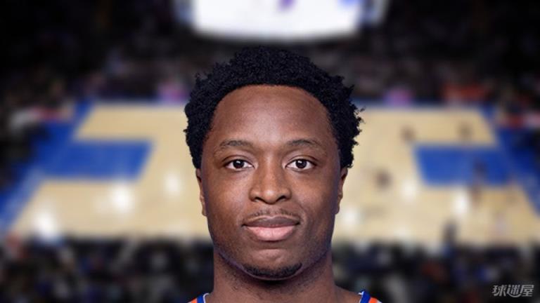 NBA盖帽王